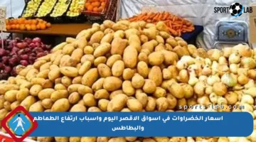أسعار الخضراوات في أسواق الأقصر اليوم وأسباب ارتفاع الطماطم والبطاطس